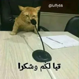 Video sticker 🙂 المفضلة