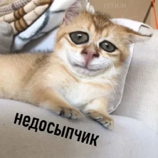 Sticker 🛌 Постирония НАХУЙ - @GIFSTIKI