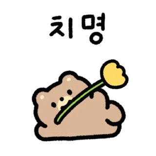 Video sticker 💬 짱 센 아가곰 By @KakaoEmoticon