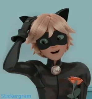 Video sticker 😅 Cat Noir