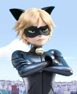 Sticker 😒 Cat Noir