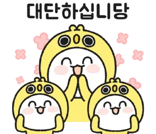 Video sticker 💬 핵병아리의 사회생활 리액션 By @KakaoEmoticon