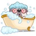 Sticker 🛀 Water Pug