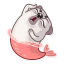 Video sticker 😱 Water Pug