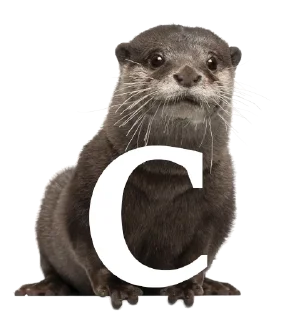 Sticker ☪️ Otterly ridiculous