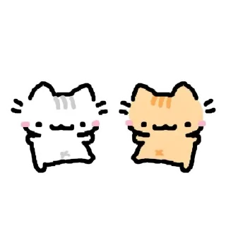 Video sticker 😺 The cat