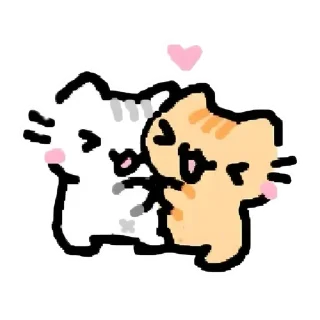 Video sticker 😺 The cat