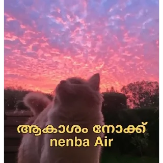 Sticker 😂 Cat Malayalam @sticker_pack_channel — @stckrRobot