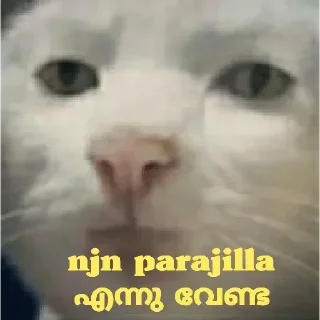 Sticker 😁 Cat Malayalam @sticker_pack_channel — @stckrRobot