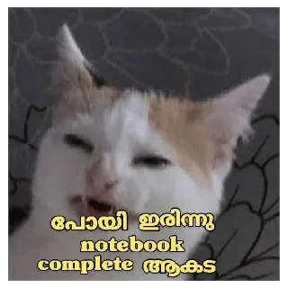 Sticker 😂 Cat Malayalam @sticker_pack_channel — @stckrRobot