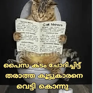 Sticker 😂 Cat Malayalam @sticker_pack_channel — @stckrRobot