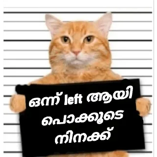 Sticker 😂 Cat Malayalam @sticker_pack_channel — @stckrRobot