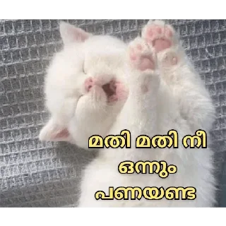 Sticker 😂 Cat Malayalam @sticker_pack_channel — @stckrRobot