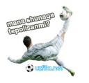 Sticker ⚽ M