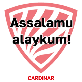 Video sticker 👋 CARDINAR