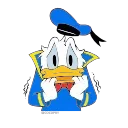 Video sticker 🙀 Donald Duck- @cocopry