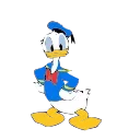 Video sticker 🤔 Donald Duck- @cocopry