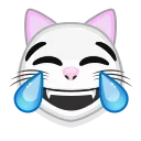 Video sticker 😹 White cat emoji