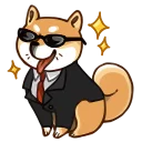 Video sticker 😎 Shibainu