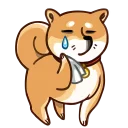 Sticker 😢 Shibainu