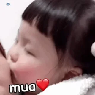 Video sticker 😃 温州雷老虎