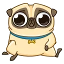 Video sticker 😕 Puga the Dog