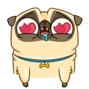 Video sticker 😍 Puga the Dog