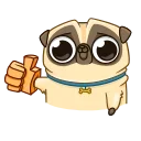 Video sticker 👍 Puga the Dog