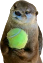 Sticker 🎾 Otters Gotta Ott 2