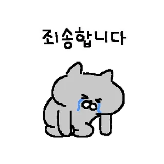 Video sticker 💬 어쩔고양이 By @KakaoEmoticon