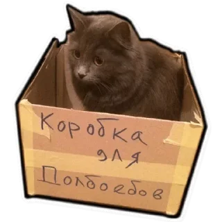 Sticker 🌝 Котэ