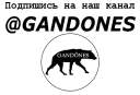 Sticker ❗️ GANDÔNES sticker pack