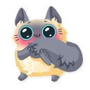 Video sticker 😳 Cute fluffy Simi