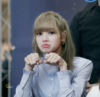 Sticker 🥺 ~•°lisa°•~ [ @blackpink_sticker4 ]