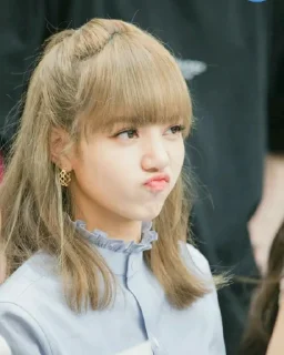 Video sticker 😑 ~•°lisa°•~ [ @blackpink_sticker4 ]