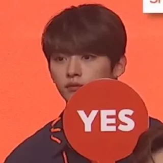 Video sticker 👍 skz meme