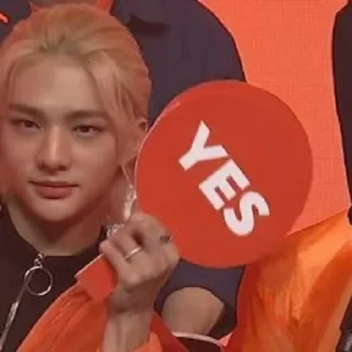 Video sticker 👍 skz meme