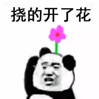 Sticker 😱 迪拜小猫咪专用 3