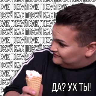 Sticker 🤭 ВПШ ЧАТ СТИКЕРПАК