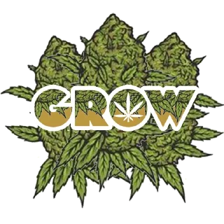 Sticker 🤩 GROW