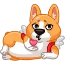 Video sticker 😘 Muffin the Corgi