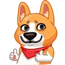 Video sticker 👍 Muffin the Corgi