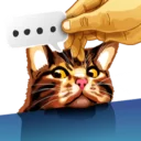 Video sticker 😒 Meme The Cat