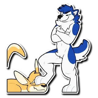 Video sticker 🐾 paws by @FavoriteStickerBot