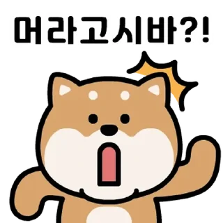 Video sticker 💬 에이시바의 일상 By @KakaoEmoticon