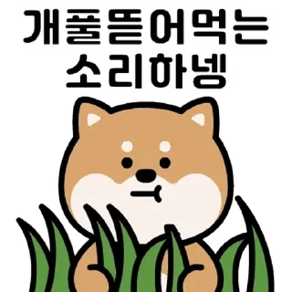 Sticker 💬 에이시바의 일상 By @KakaoEmoticon