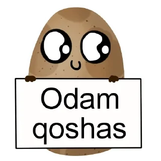 Video sticker ☺️ Zakas oyinlar stickers