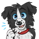 Video sticker 😀 Vin the Bordeaux Collie