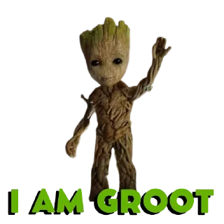 Video sticker 🌳 GrootCoin