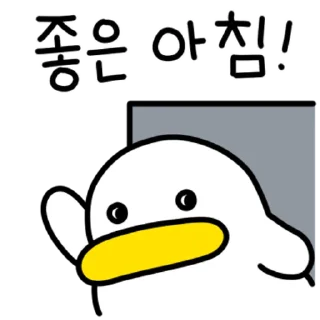 Sticker 💬 꽉꽉꽉! 곽대리 By @KakaoEmoticon